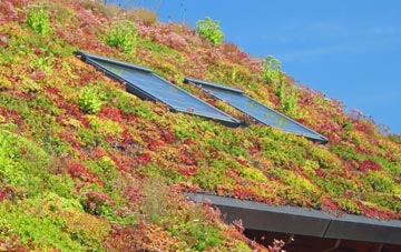 Childsbridge living roof systems